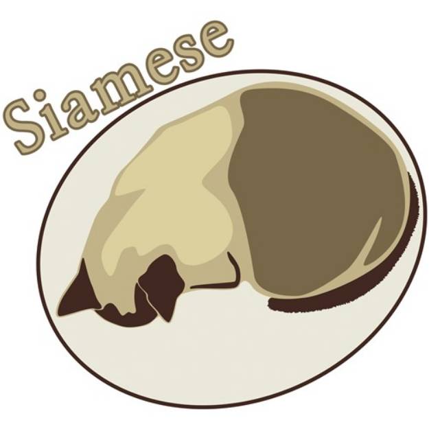 Picture of Siamese SVG File