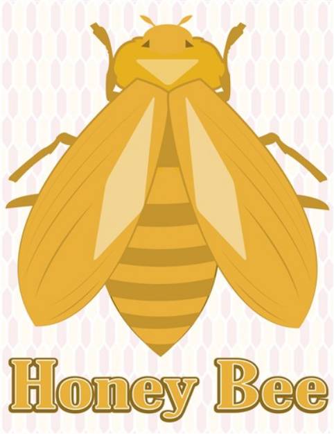 Picture of Honey Bee SVG File