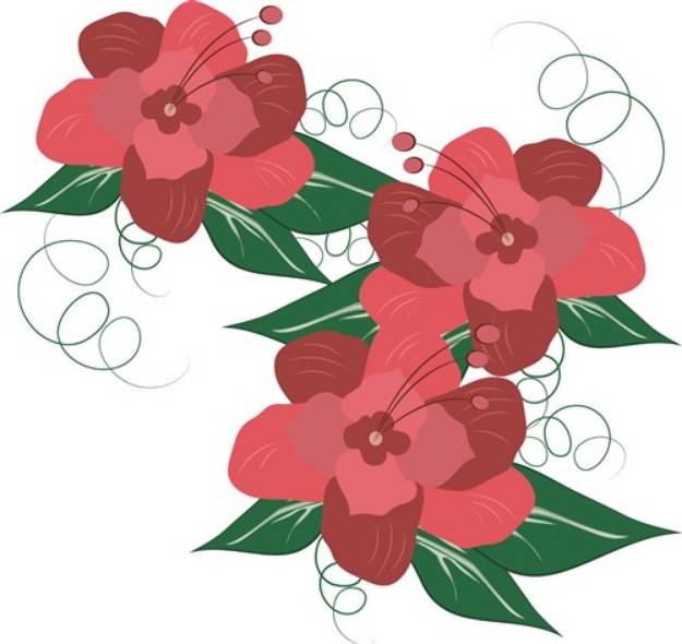 Picture of Rose Flowers SVG File