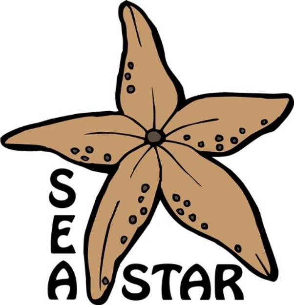 Picture of Sea Star SVG File