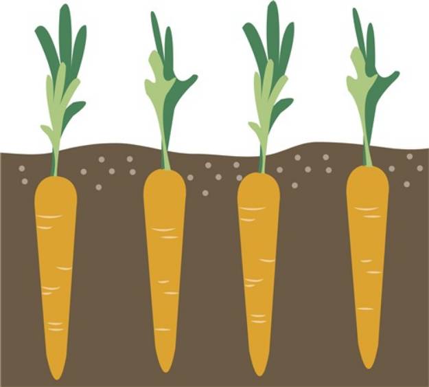 Picture of Carrots SVG File