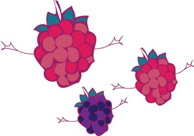Picture of Raspberry Fruit SVG File