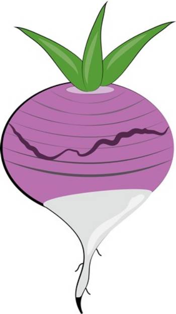 Picture of Radish Beet SVG File