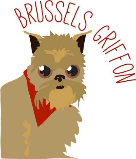 Picture of Brussels Griffon SVG File