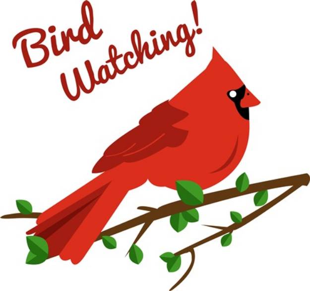 Picture of Bird Watching SVG File