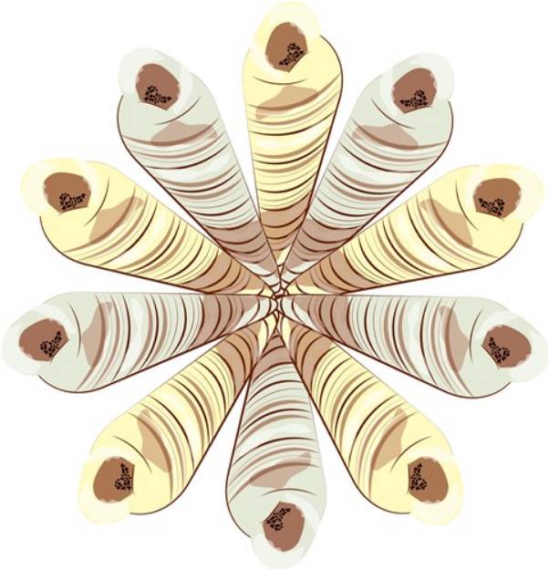 Picture of Shell Wreath SVG File