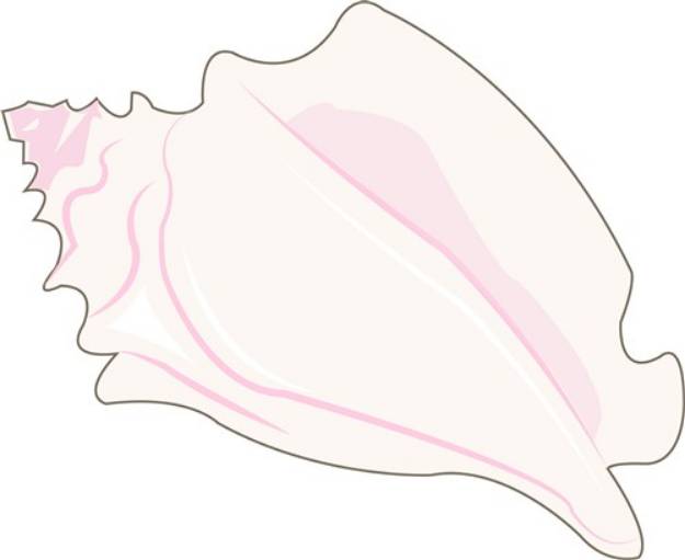 Picture of Conch Shell SVG File