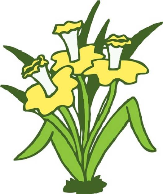 Picture of Daffodils SVG File