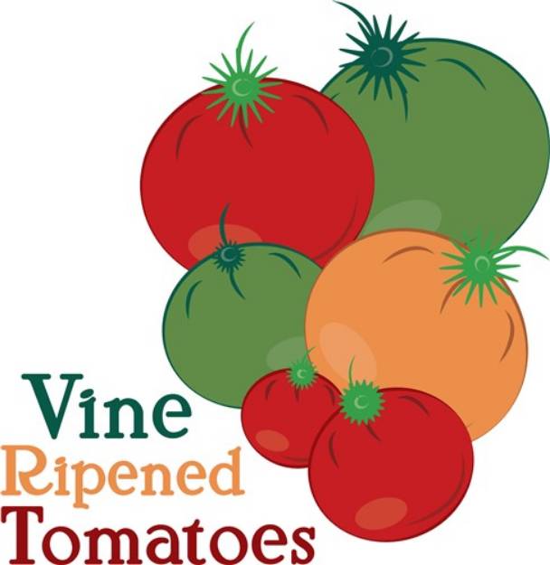 Picture of Vine Ripened Tomato SVG File