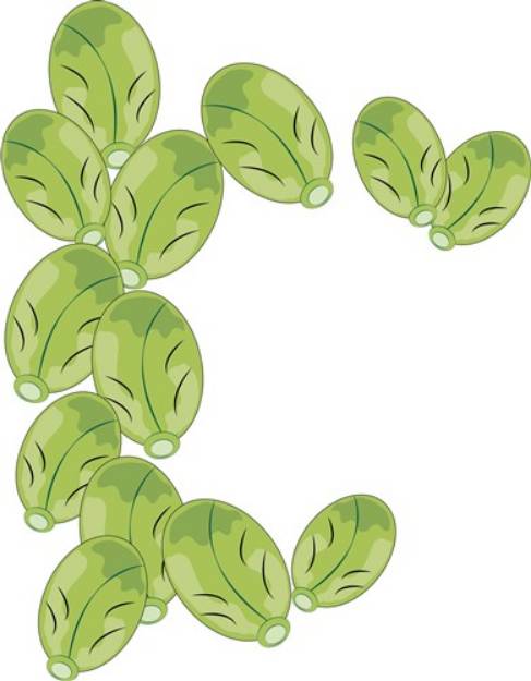 Picture of Brussel Sprouts SVG File