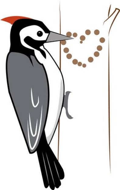 Picture of Woodpecker SVG File
