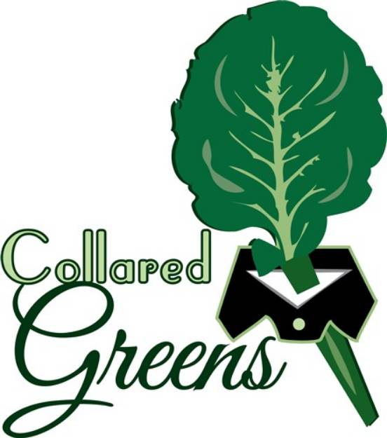 Picture of Collared Greens SVG File