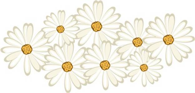 Picture of Daisy Flowers SVG File