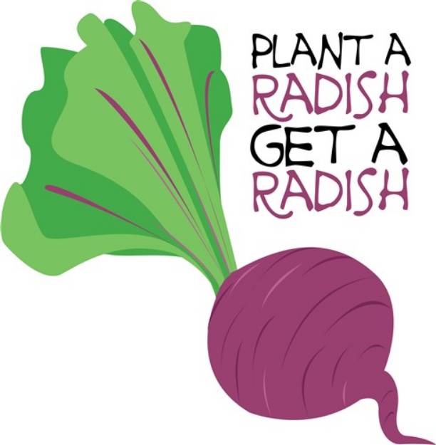 Picture of Plant A Radish SVG File