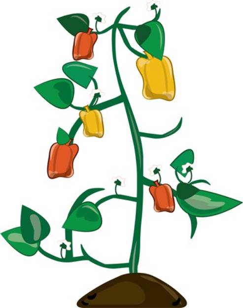 Picture of Pepper Plant SVG File