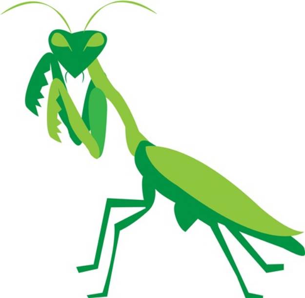 Picture of Praying Mantis SVG File