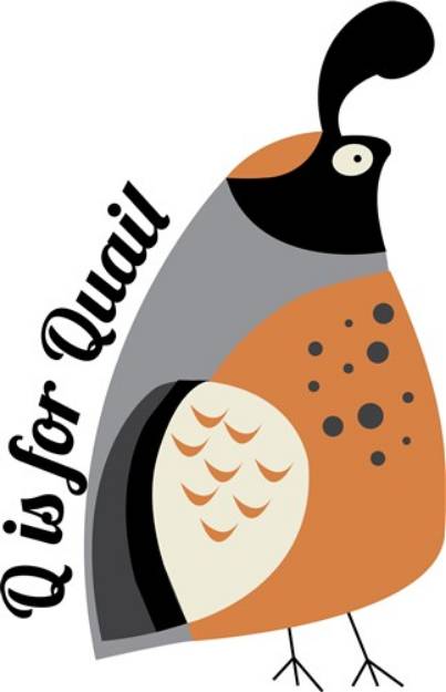 Picture of Q For Quail SVG File