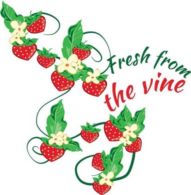 Picture of Fresh From Vine SVG File
