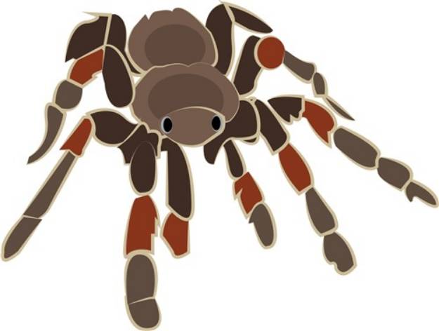 Picture of Tarantula Spider SVG File