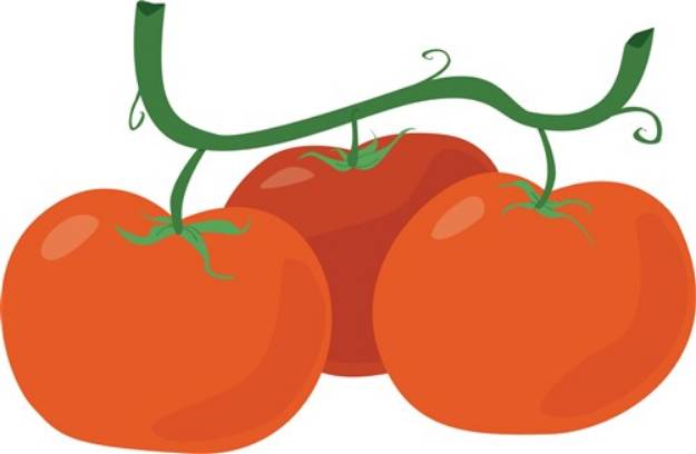 Picture of Tomatoes SVG File
