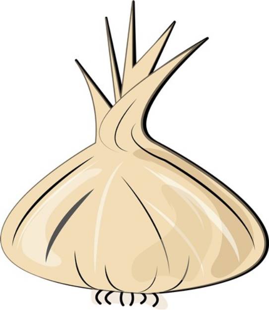 Picture of Garlic Bulb SVG File