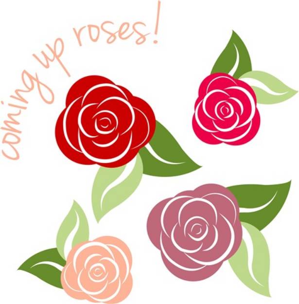 Picture of Coming Up Roses SVG File