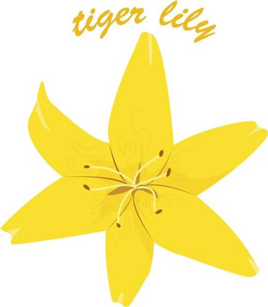 Picture of Tiger Lily SVG File