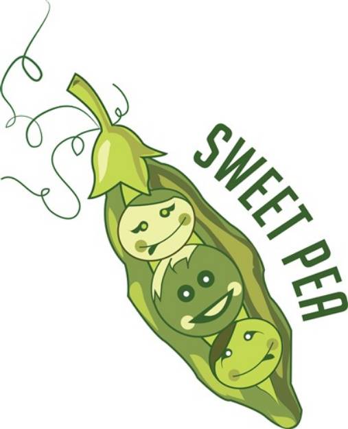 Picture of Sweet Pea SVG File