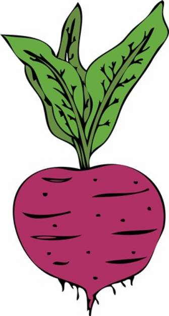 Picture of Beet SVG File