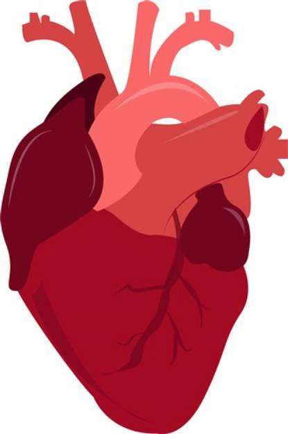 Picture of Human Heart SVG File