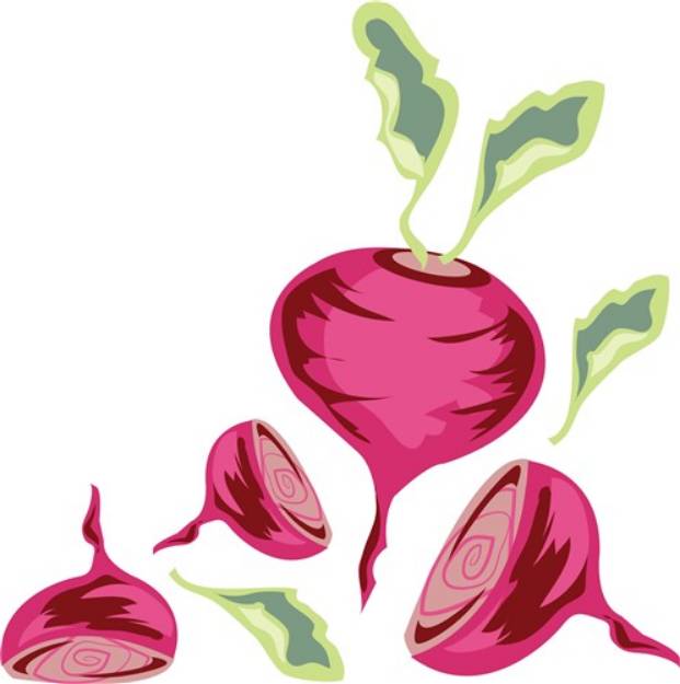 Picture of Beets SVG File