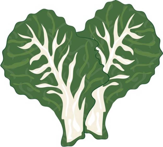Picture of Kale Leaves SVG File