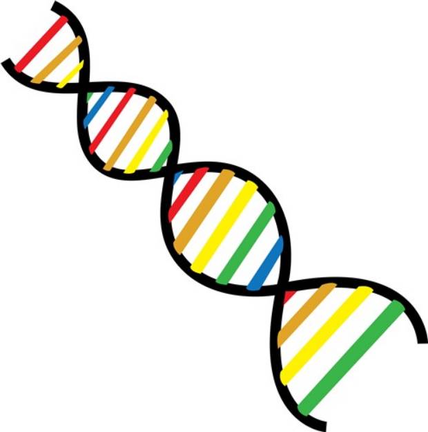 Picture of DNA Chain SVG File