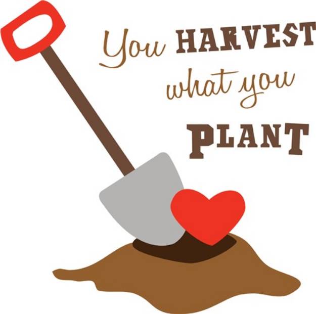 Picture of Harvest What You Plant SVG File