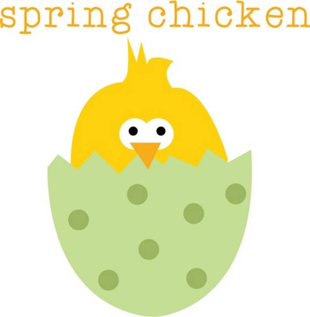 Picture of Spring Chicken SVG File
