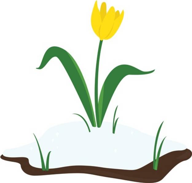 Picture of Snow Tulip SVG File