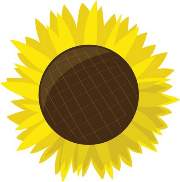 Picture of Sunflower Bloom SVG File