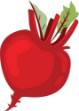 Picture of Sugar Beet SVG File