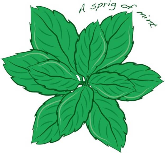 Picture of Sprig Of Mint SVG File