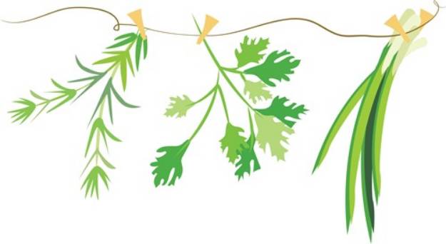 Picture of Drying Herbs SVG File