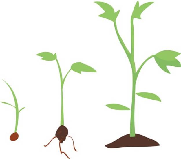 Picture of Growing Plant SVG File