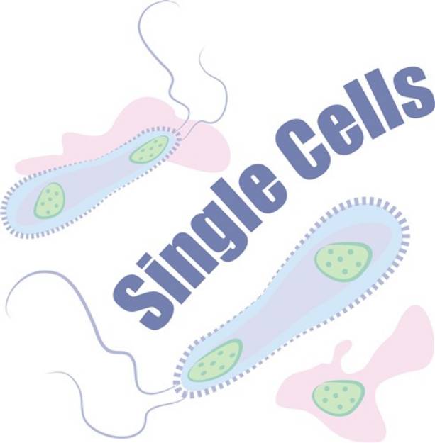 Picture of Single Cells SVG File