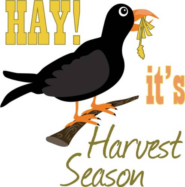 Picture of Harvest Season SVG File