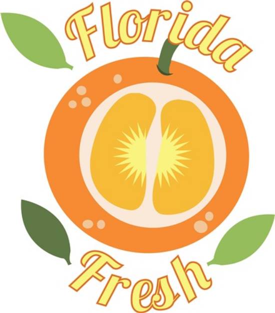 Picture of Florida Fresh Orange SVG File