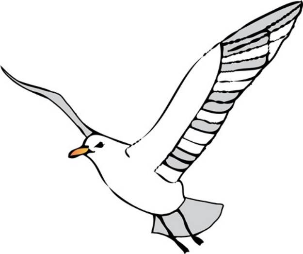 Picture of Seagull SVG File