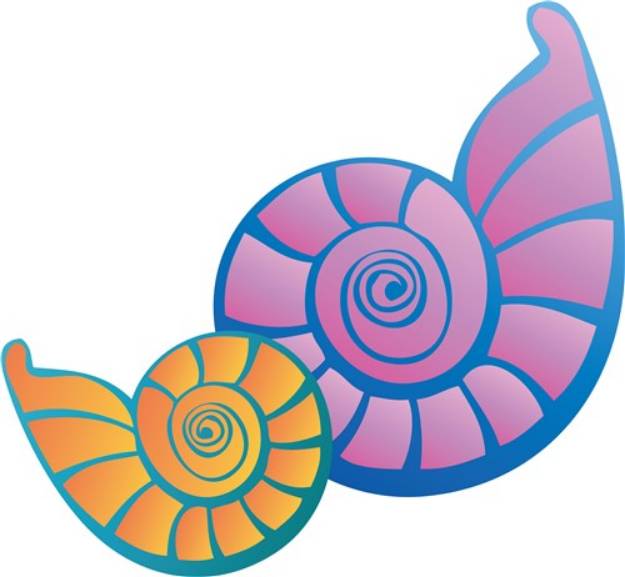 Picture of Sea Shells SVG File