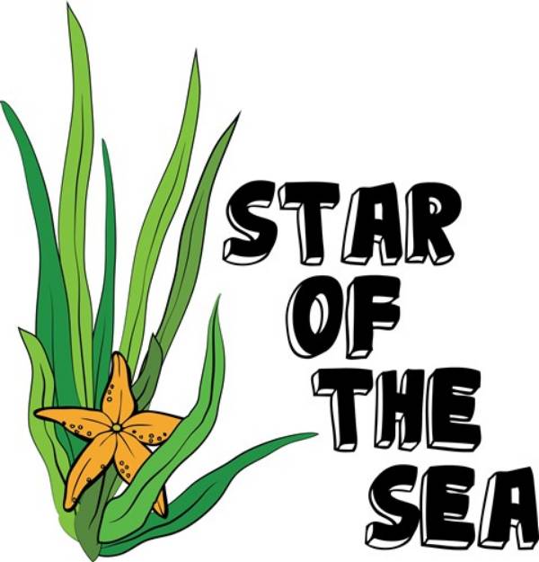 Picture of Star Of The Sea SVG File