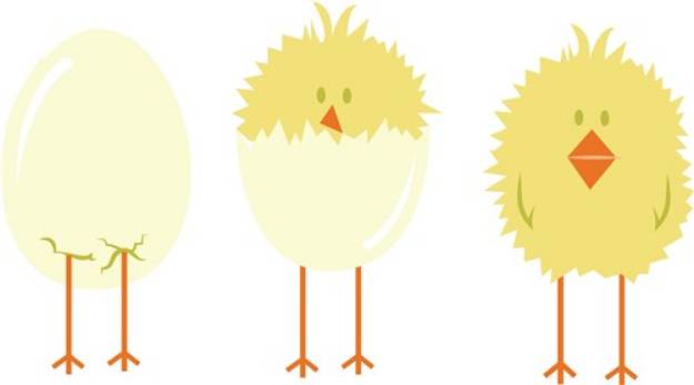 Picture of Easter Chicks SVG File