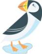 Picture of Puffin SVG File