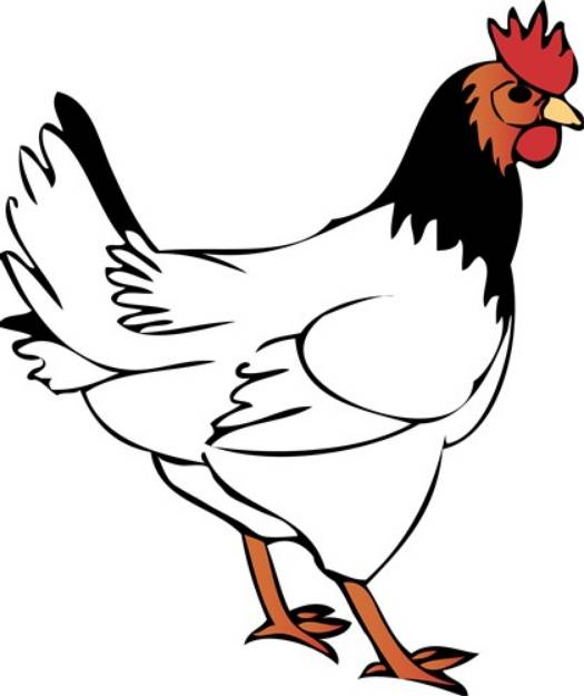 Picture of Chicken SVG File